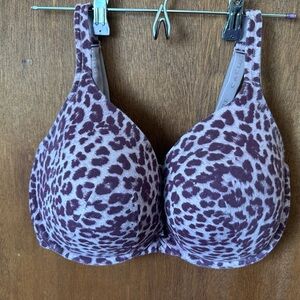 Cacique Cotton Boost Plunge Bra- Lavender and Deep Purple 36 H worn 2x